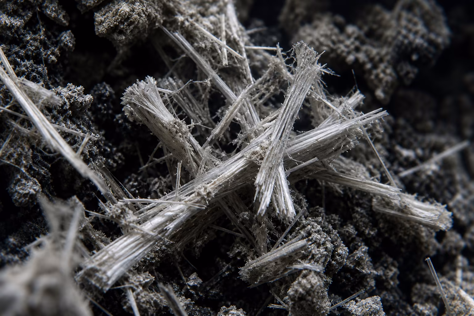 Fibres d'amiante vues au microscope illustrant le danger sanitaire de l'inhalation